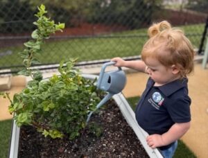 Toddler watering a garden plant during a Montessori practical life activity in Louisville, KY